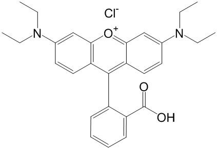 罗丹明b(rhodamine b)