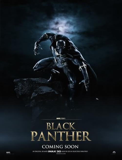 4《黑豹》(black panther)