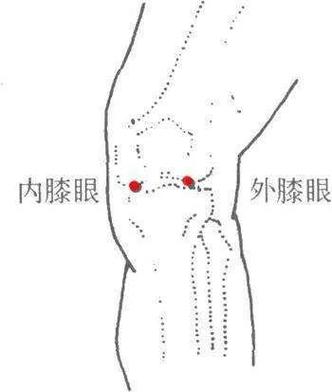 艾灸内膝眼穴能调理膝关节酸痛,鹤膝风,腿痛及其周围软组织炎和缓解膝