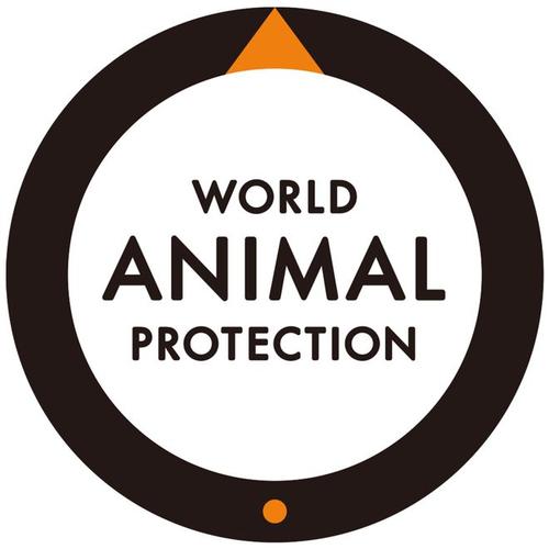 招募实习生!!!|翻译|保护协会|野生动物|动物保护_网易订阅