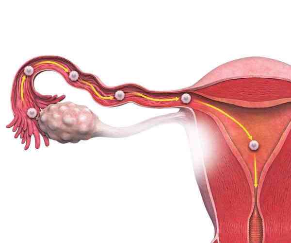 输卵管造影检查显示双侧输卵管堵塞复发应该如何治疗