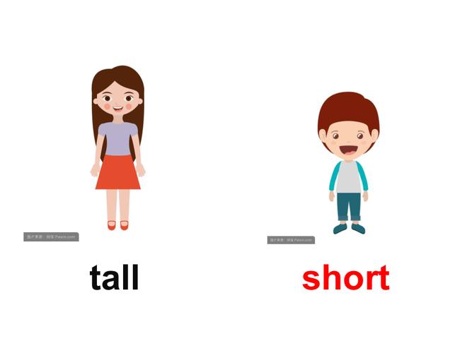 3 all about me_lesson 14 are you short or tall _ppt课件_(含教案)