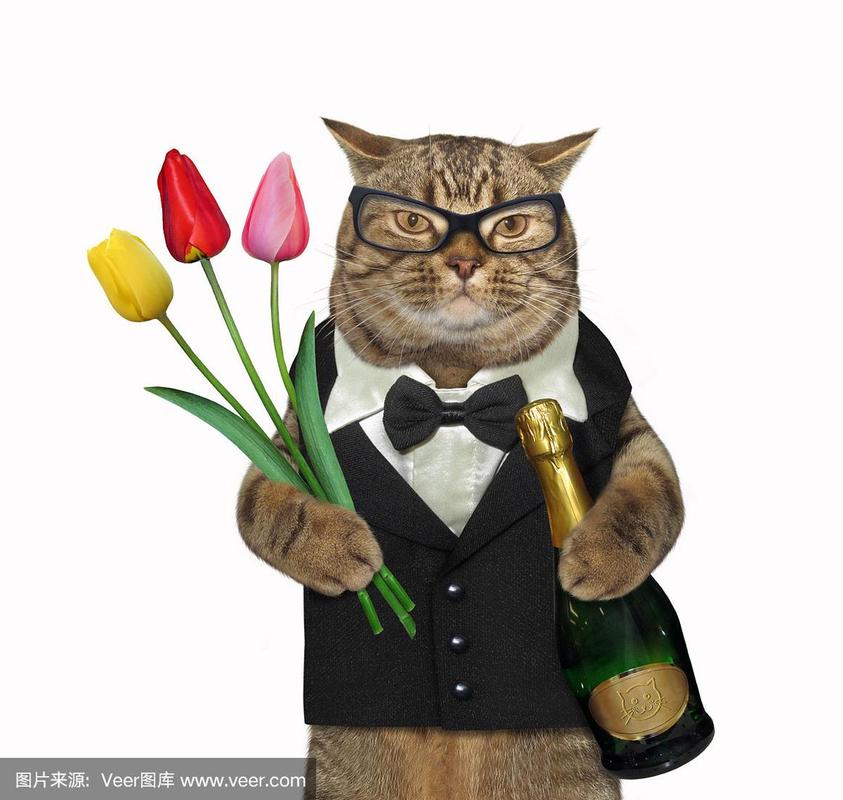 穿西装的猫捧着红酒和郁金香