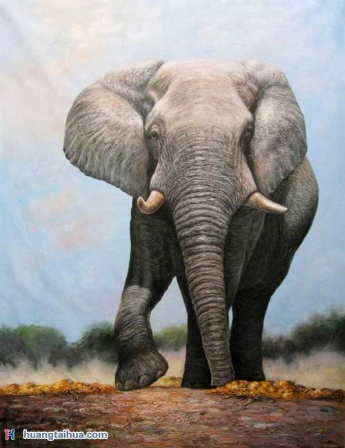 大象赶路,大象油画图片