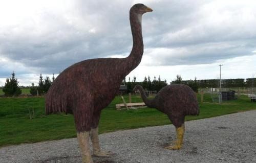 世界上最大的鸟 恐鸟(高3.6米/重250千克) - 吐客网
