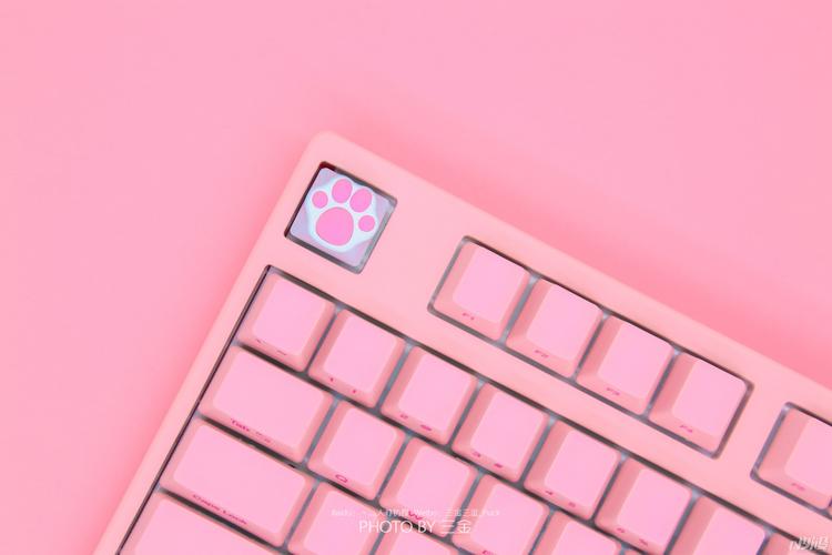 akko x ducky 3108情人节侧刻粉色键盘图赏