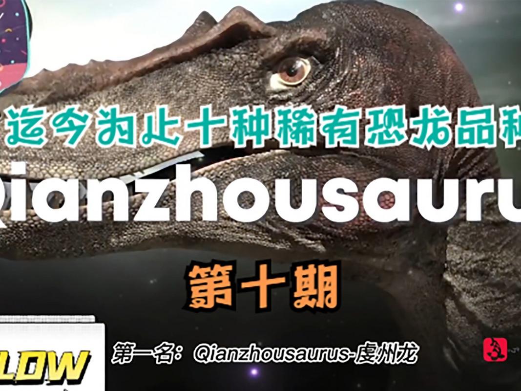 它是霸王龙近亲, 身长约8米,体重大约1吨 最大体长可达9米.
