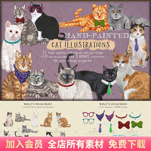 手绘水彩可爱猫咪插图项圈领带领结眼镜配饰png免抠装饰设计素材