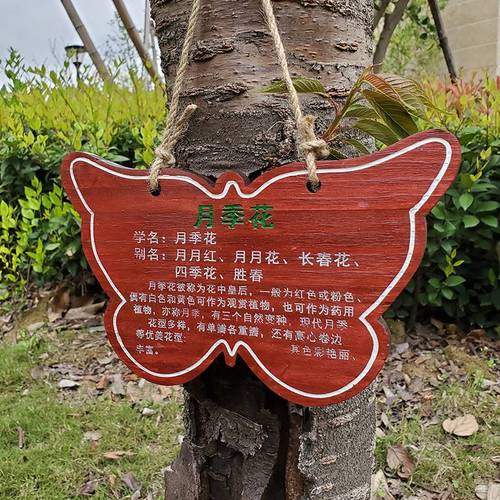 树木铭牌户外实木树牌定制绿化植物标识挂式装饰挂牌