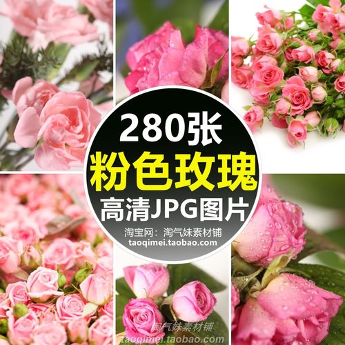 高清jpg粉色玫瑰花图片花朵花束花瓣花卉鲜花店唯美背景摄影素材