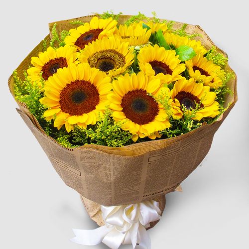 向日葵花束9朵图片|向日葵花束9朵意思|向日葵花束9朵包装|价格