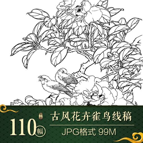 古风花鸟线稿素材中国风白描花卉梅兰菊竹/雀鸟临摹手绘参考110张