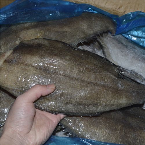 182斤鲽鱼格陵兰进口深海比目鱼雅片冷冻新鲜水产鲽鱼