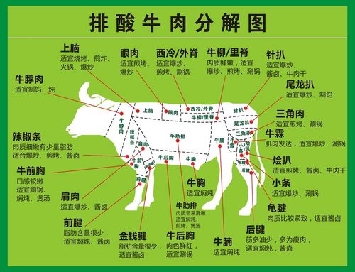 m768排酸牛肉分割图分解剖图烹饪方法2017海报印制展板写真喷绘
