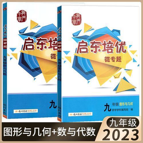 现货2023新版启东培优微专题 初三9九年级数学 数与代数 图形与几何 2