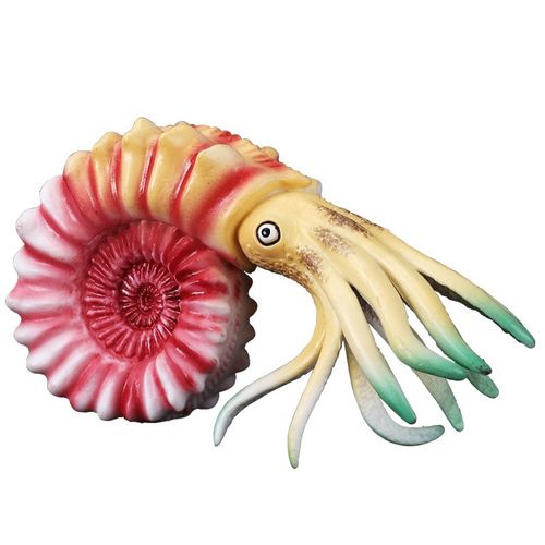 wantmoin儿童玩具实心仿真动物海洋生物模型螃蟹神仙鱼鹦鹉螺儿童认知