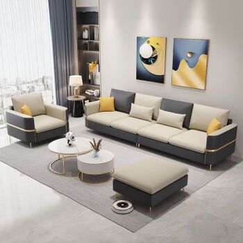 杜乐居2023新款免洗科技布沙发小户型现代简约客厅直排轻奢北欧布艺