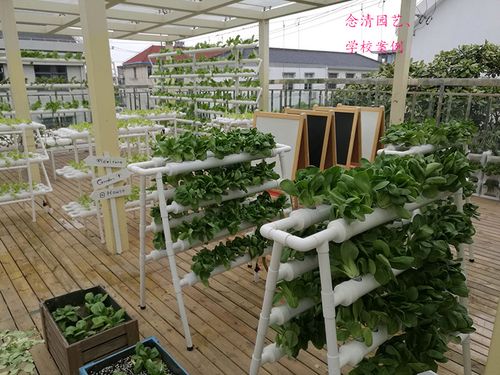 阳台无土栽培水培蔬菜管道家庭室内水耕水培蔬菜种植无土栽培设备