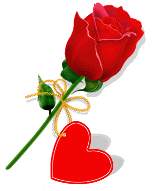 送你999朵玫瑰花,祝你幸福圆满,收获属于自己的浪漫!